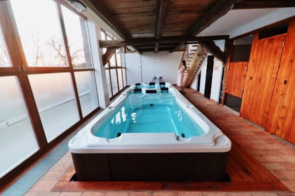 Плавательный спа бассейн Joy Spa 8601 в помещение